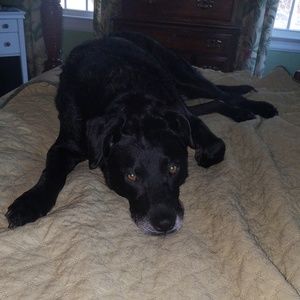 Meet your Posher, Wendy